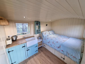Delilah the Shepherd's hut